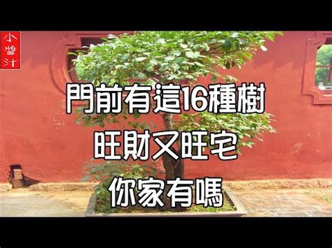 陰樹 陽樹|【陽樹 陰樹】 陽樹陰樹之分：揭開風水與植物學的奧秘